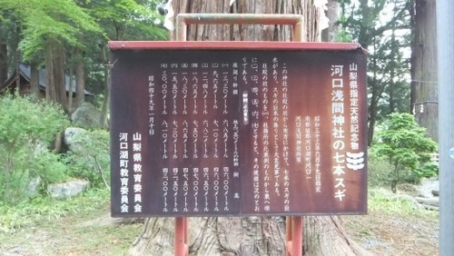 �ϸ����ֿ��Ҥμ��ܿ�����