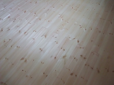 ËÌÍÎÀÖ¾¾¡Ê¥ì¥Ã¥É¥Ñ¥¤¥ó¡Ë̵¹¤¥Õ¥í¡¼¥ê¥ó¥°¡¡»Ü¹©£¶