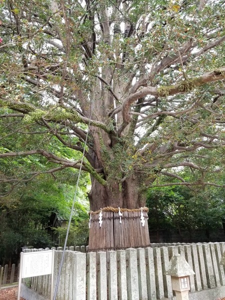 ����®����ҤΥʥ�����ˡ���