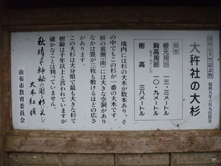 ÂçµÏ¼Ò¤ÎÂç¿ù 1