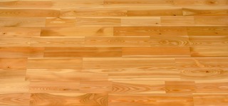 �ԥ奢�顼���ե�����󥰡����쥿�󡡥��쥯�����