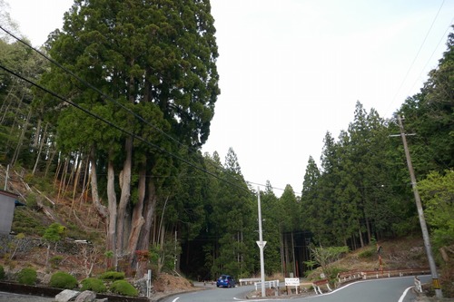 µÈÂô¤ÎÅĹâ¿ù£·