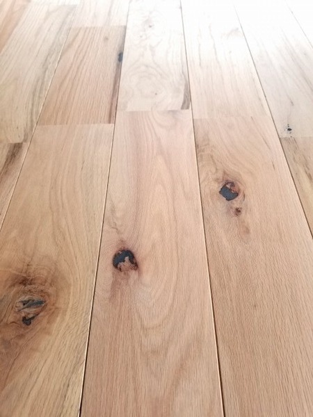 ������ �졦�ޡ��֥�����̵��UNI�ե������ �ͥ����åɥ��졼����