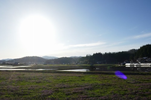 ���縩������ �����������ꥤ���祦6