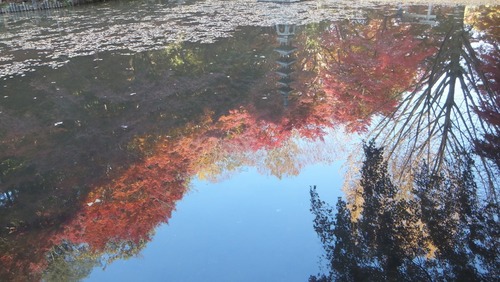 ��̿����ͼ�Ȥ�ߤ���