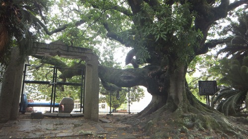 Ļ��ȬȨ�ܤΥۥ�ȥΥ�����