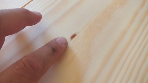 �н��־�����̵������ʪ�ե�����󥰣�