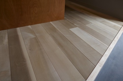 ܤιռ ѡʤ̵̤ۤʪե󥰡2