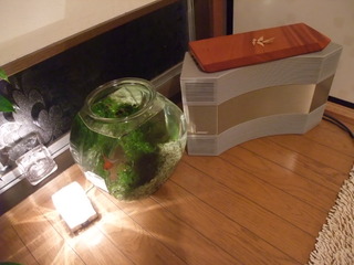 ���䥭��ŷ�ģ�