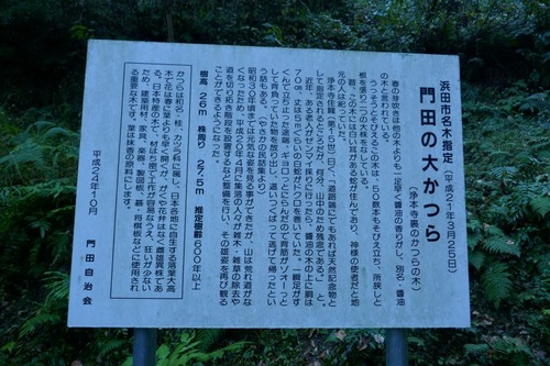 ���Ĥ��礫�Ĥ飴