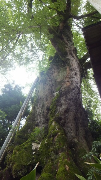 ���������९��