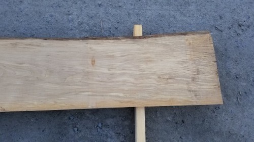 ���ݥ�ƥåɤ֤ʡ���