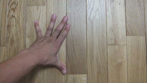 ¥«¥¹¥¯¥ª¡¼¥¯¾²ÃÈS 6