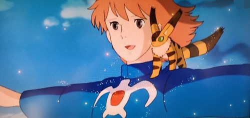 ¥Ê¥¦¥·¥«
