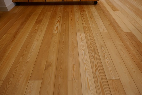 ԥ奢顼̵ʪե󥰡ץߥ졼 룱