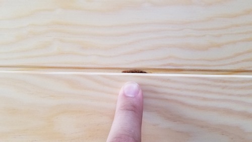 �л��־�̵������ʪ������ ����