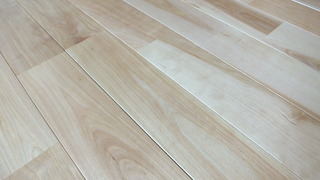 ¥ê¥Õ¥ê¡¼¥Ð¡¼¥Á¡¡£¸