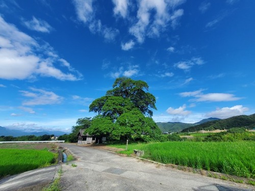 Èø³«¤Î¥¯¥í¥¬¥Í¥â¥Á£²