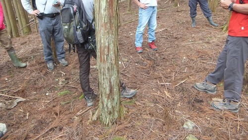 �����Τ룴