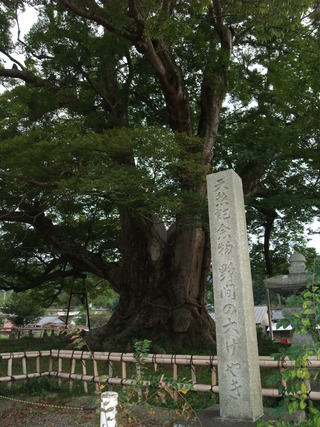 ��֤��礱�䤭����