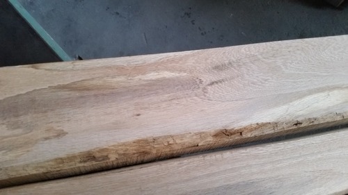 ���ܤ���ʤʤ�˴���̵���ࡡ����