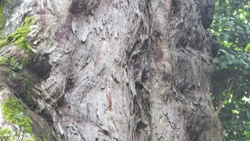 ���������९��