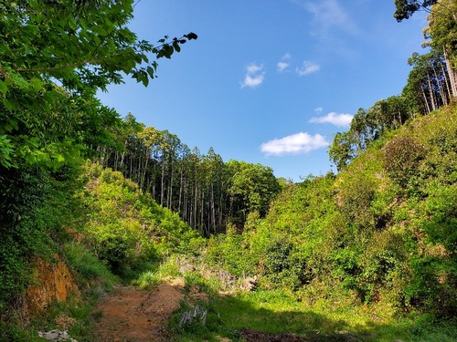 ��Ȳ��ι��ռ�