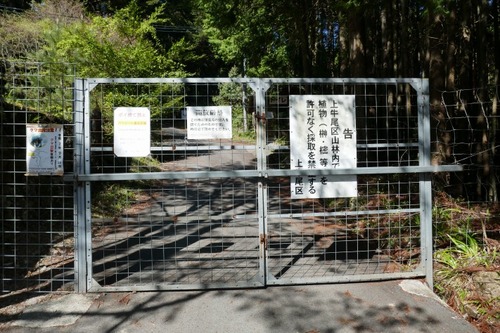 ³Þ·Á»û¤Î¥³¥¦¥ä¥Þ¥£²