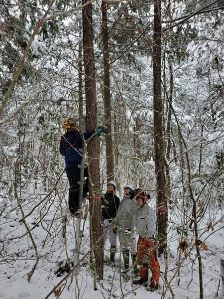 ��׼���־�����Ƥ롢�����͡���������2025-2