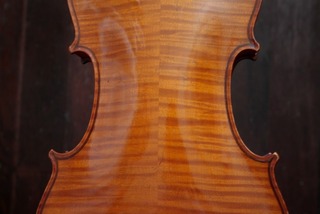 ¥Ð¥¤¥ª¥ê¥ó¡¡£±