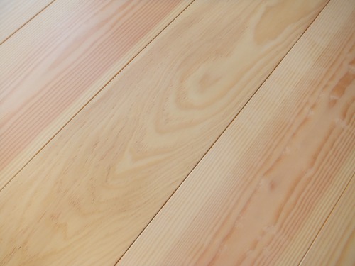 �н��־�����̵������ʪ�ե�����󥰣�