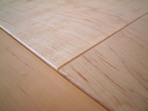 �Ĳ���������ˡ��Ѥ���V�³���