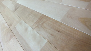 ¥ê¥Õ¥ê¡¼¥Ð¡¼¥Á¡¡£±£°