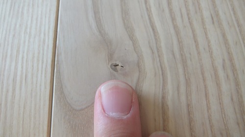 À¶Î俤â¡Ê¤»¤¤¤ê¤ç¤¦¤¿¤â¡ËÉý¹Ìµ¹¤°ìËçʪ¥Õ¥í¡¼¥ê¥ó¥°£±£±