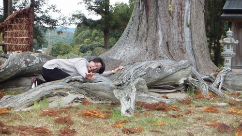 �ƻ����������