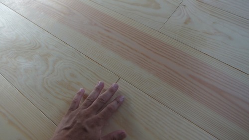 �н��־�����̵������ʪ�ե�����󥰣���