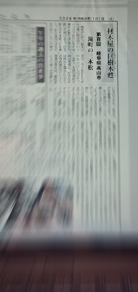 ���ڲ��ε�����