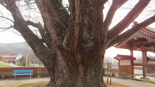 �������ζ�ɡ���