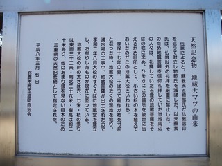 ��¢�羾����