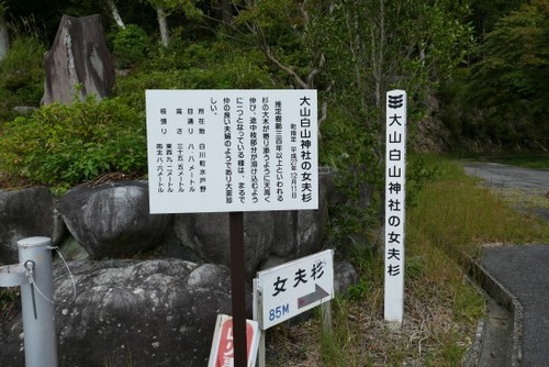 �绳�򻳿��Ҥν��׿��ʤᤪ�Ȥ����ˣ�_ks