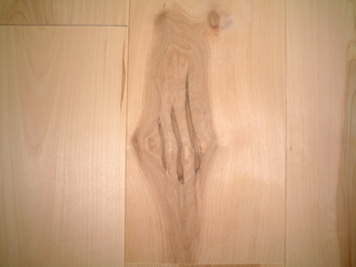 �С�����������ˡ�N����