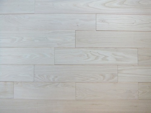 ÆüËܤιÍÕ¼ù̵¹¤¥Õ¥í¡¼¥ê¥ó¥° ¾¡·ª¡Ê¤¹¤°¤ê¡Ë°ìËçʪ¥Õ¥í¡¼¥ê¥ó¥°9