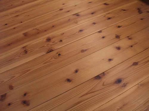 ¿ùÈÄÌÜÀᤢ¤êÉ⤤ê¥Õ¥í¡¼¥ê¥ó¥°