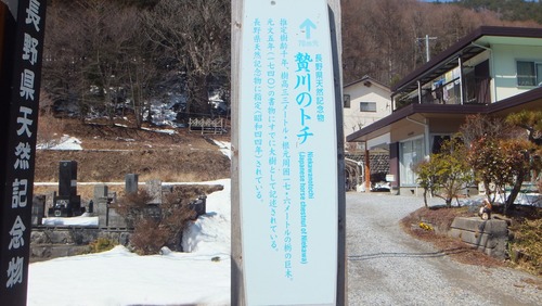 ����Υȥ�����