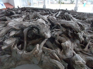 ËäË×ÎÓÇîʪ´Û£±£°