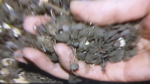 ¥Ð¥¤¥ª¥Þ¥¹£³