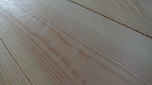 �н��־�����̵������ʪ�ե�����󥰣���