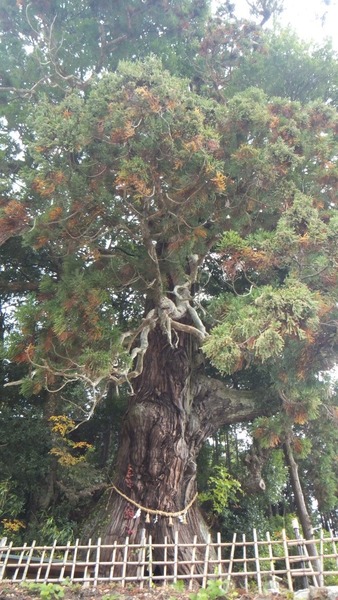 Ʋ���Υ�������ǯ���ˡ�3