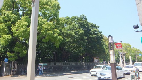 ������Ҥζ��ںԡ�����