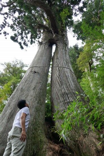 �绳�򻳿��Ҥν��׿��ʤᤪ�Ȥ����ˣ�_ks